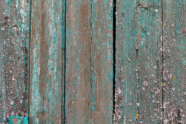 Fototapeta Damaged wood texture, close up. Old tree, wooden plank background, textured image. Old board. Lumber, forestry.
