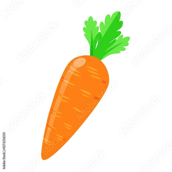 Obraz carrot