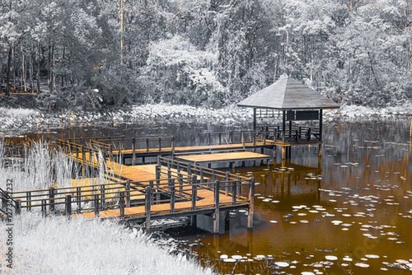 Fototapeta Infrared photography, a serene waterfront scene with a wooden dock extending into a still body of water
