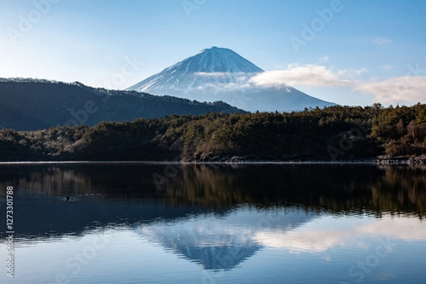 Fototapeta 西湖の朝