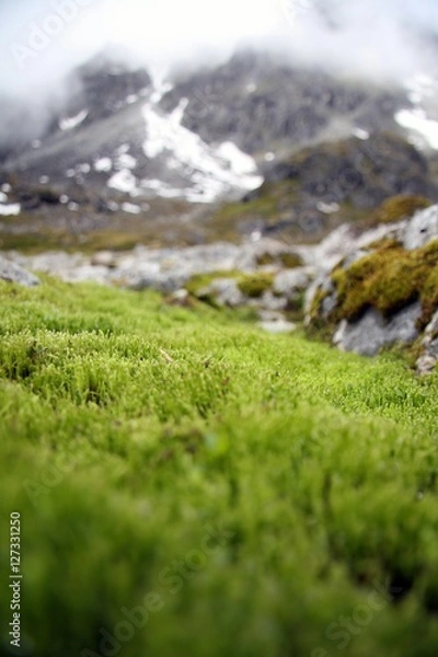 Fototapeta High Alpine