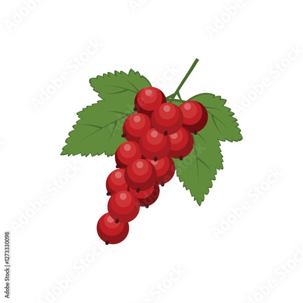 Fototapeta Red currant. Ripe red currant berries with green leaves. A cartoon-style currant. The vector illustration is isolated on a white background