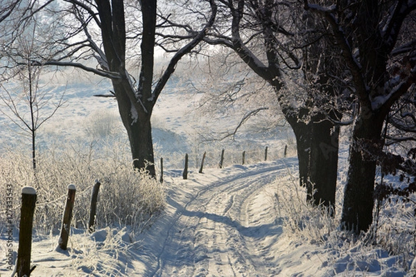 Obraz Winter sunny landscape