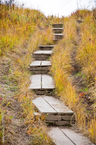 Fototapeta Fall Path