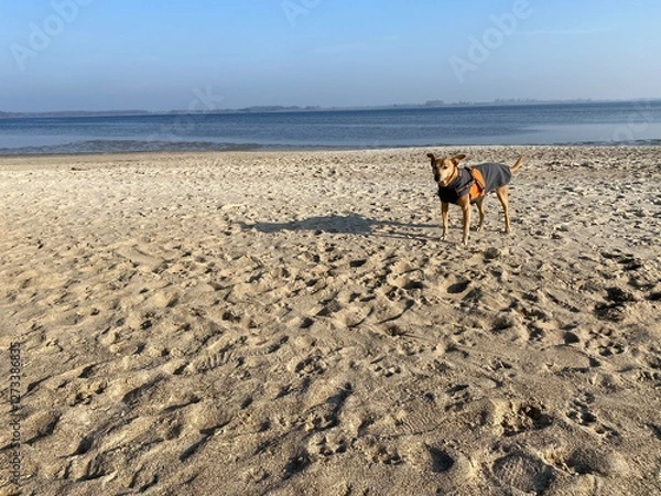 Obraz Strand Greifswald