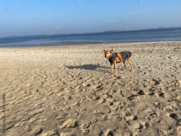 Obraz Strand Greifswald
