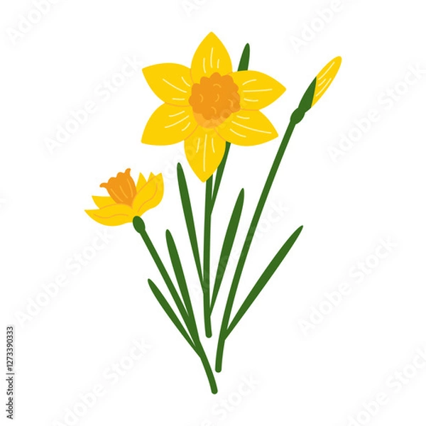Fototapeta Cute daffodils. Bouquet of yellow daffodils on an isolated background. Illustration of spring flowers. Vector illustration	
