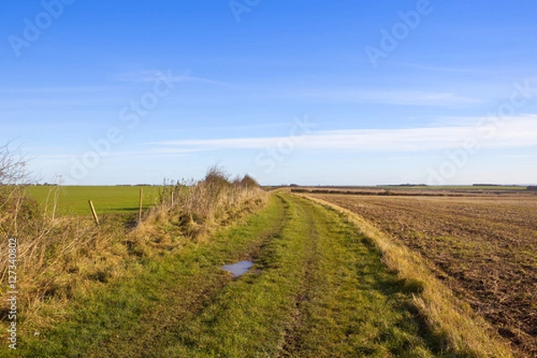 Fototapeta autumn footpath