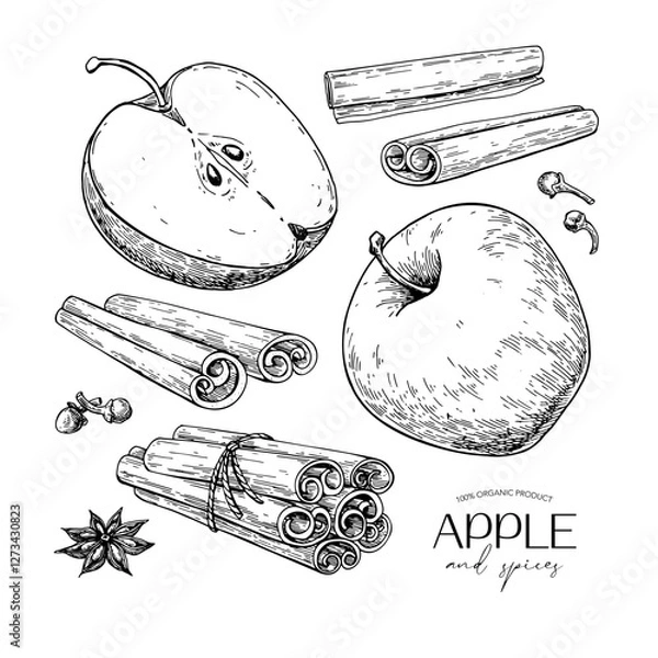 Fototapeta Apple and cinnamon vector drawing. Fruit and spices sketch. Whole and sliced apple, cinnamon sticks, cloves, star anise.