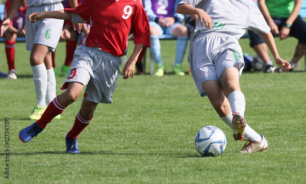 Fototapeta サッカー　フットボール