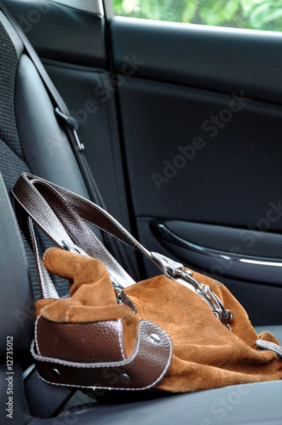 Obraz Bag in a car