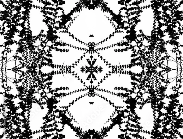 Fototapeta Abstract seamless black and white kaleidoscope pattern background, monochrome ivy leaves and branches effect texture. design for background, rug, wallpaper, clothing, wrap, textile,fabric,embroidery