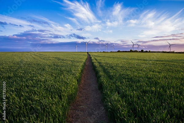 Obraz Wind turbines in field