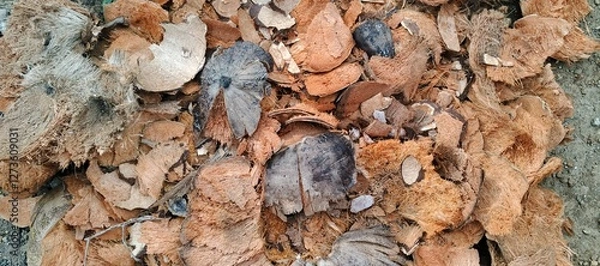 Fototapeta Close-up of a pile of coconut husks and shells, displaying their fibrous and hard textures, commonly used in various applications like coir production, mulch, or as a fuel source