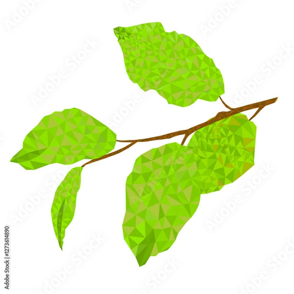 Obraz Branch  pear low-polygon on white  background  vitage vector  illustration editable hand draw