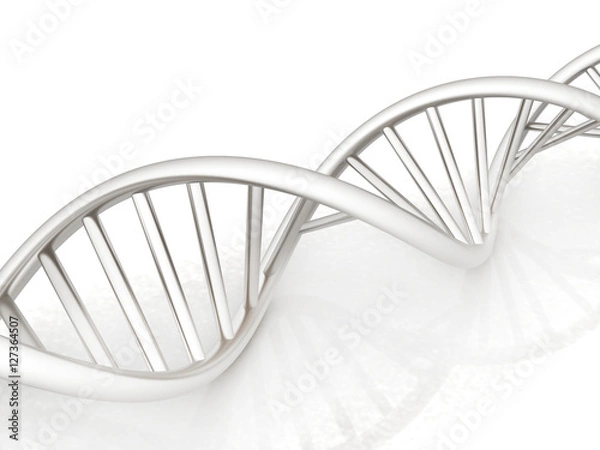Fototapeta DNA structure model. 3d illustration