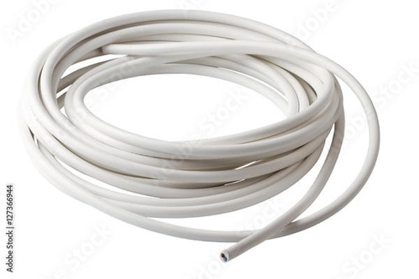 Obraz Electric cable