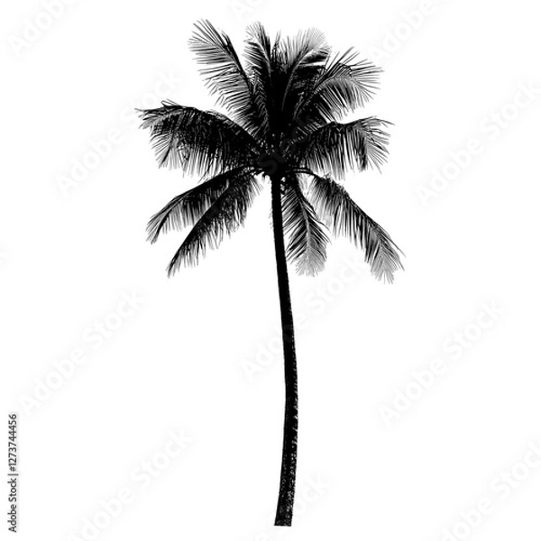 Fototapeta Silhouette of a palm tree illustration design black vector