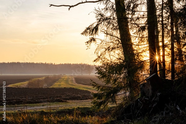 Fototapeta beautiful late autumn sunset landscape with field and tree branches. Latvia flat landscape