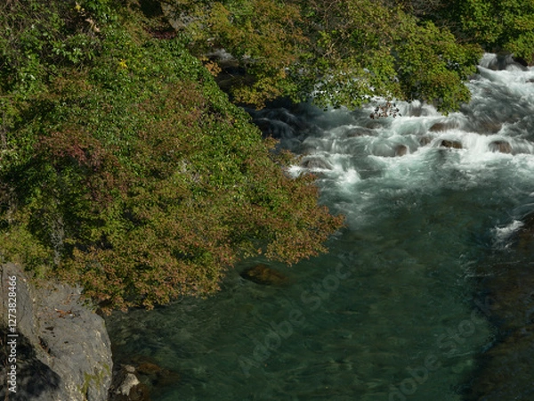 Obraz 渓流の流れ