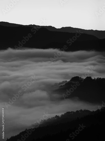 Obraz モノクロの雲海