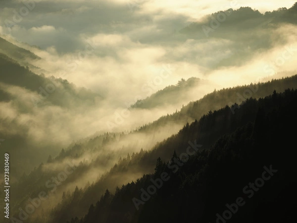 Obraz 雲海の出た山