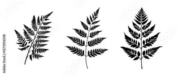 Fototapeta Fern Leaf Silhouettes Vector Illustration. Black and white vector illustration of three fern leaf silhouettes displaying intricate leaf patterns. Ideal for botanical designs, nature-themed projects