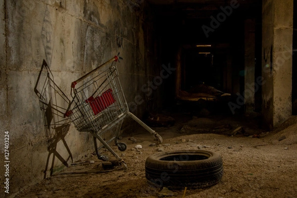 Obraz Shopping for Darkness