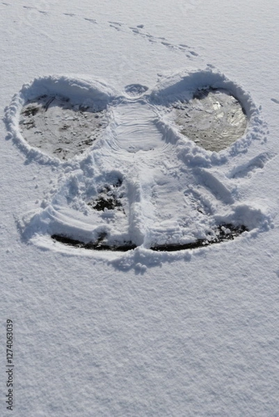 Obraz Snow angel