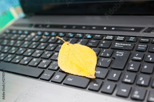 Fototapeta лист на ноутбуке