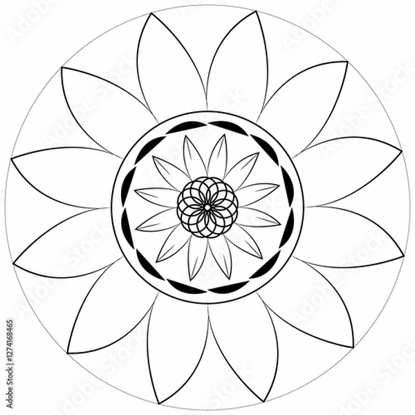 Obraz mandala design vectors