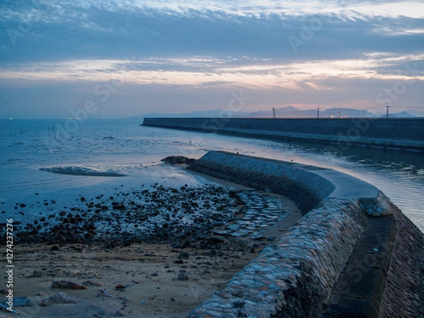 Obraz 夕方の海岸