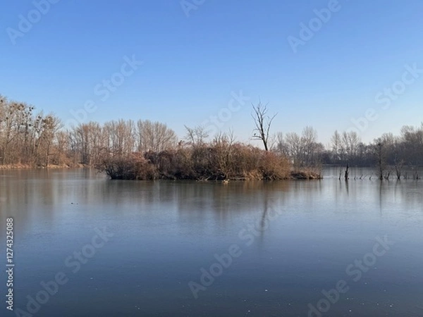 Fototapeta A small island with leafless trees and bushes emerges from a calm lake, reflecting the blue sky. The still water and clear winter light create a peaceful, isolated, and natural atmosphere.