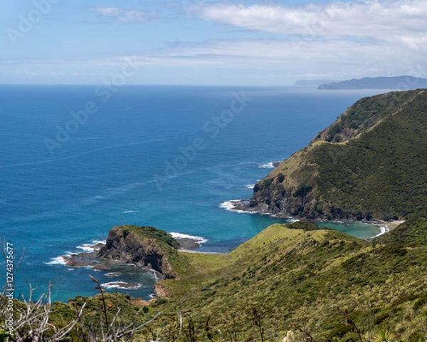 Obraz Cape Reinga Coastline
