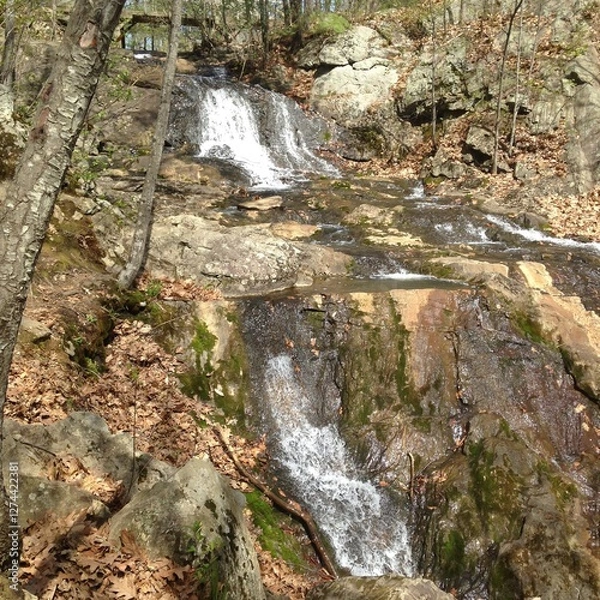 Obraz waterfall in the forest