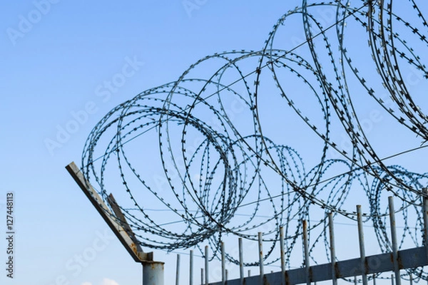 Obraz Barbed wire on the fence. Protective fencing specially protected object of barbed wire. Stamped barbed wire