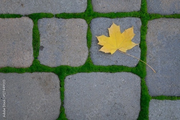 Obraz Yellow Leaf on mossy bricks
