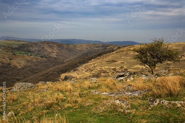 Fototapeta Dartmoor