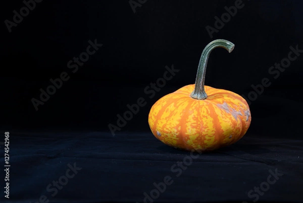 Obraz pumpkin on black background