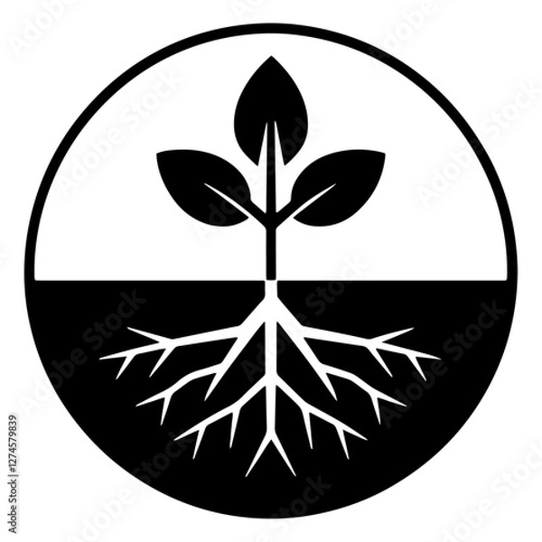 Fototapeta Plant with roots in a circle vector logo, black sprout logo with roots icon