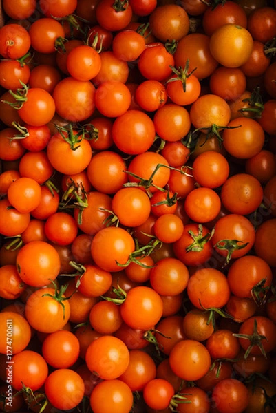 Obraz Orange cherry tomatoes..