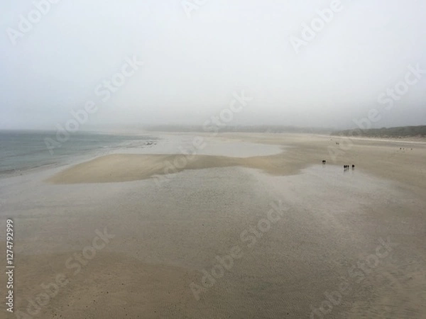 Obraz Misty beach