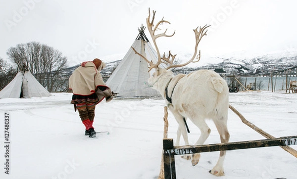 Fototapeta Reindeer breeder dressed in national Same clothes with a reinde