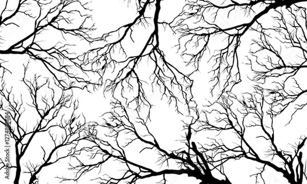 Fototapeta Abstract black roots pattern decorative white background. Vintage nature background.