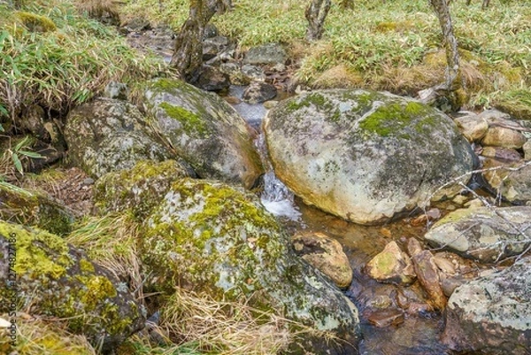 Fototapeta 八島ヶ原湿原で見た晩秋の渓流の情景