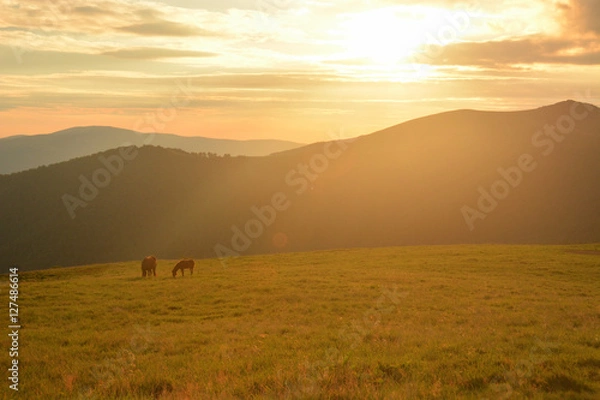 Obraz beautiful sunset in the mountains