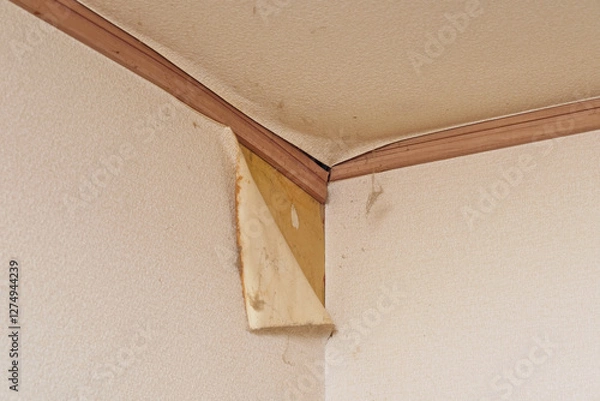 Obraz 剥がれた壁紙