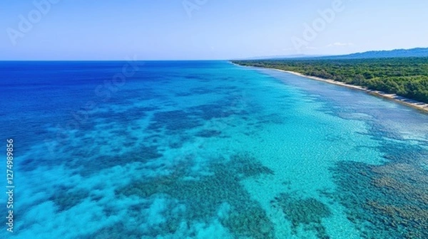 Fototapeta Coastal Paradise: A breathtaking panoramic view unfolds, revealing an endless expanse of the deep blue sea, seamlessly merging with a clear, turquoise shallow coastline kissed by a clear blue sky.