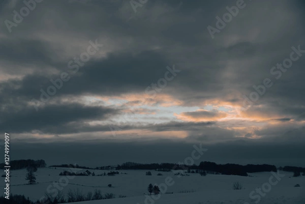 Fototapeta 北海道美瑛-冬の朝の風景-12