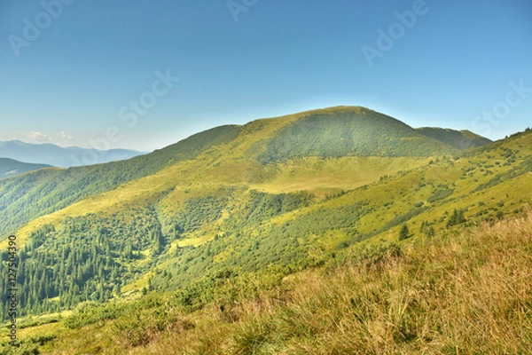 Obraz beautiful views of the mountains